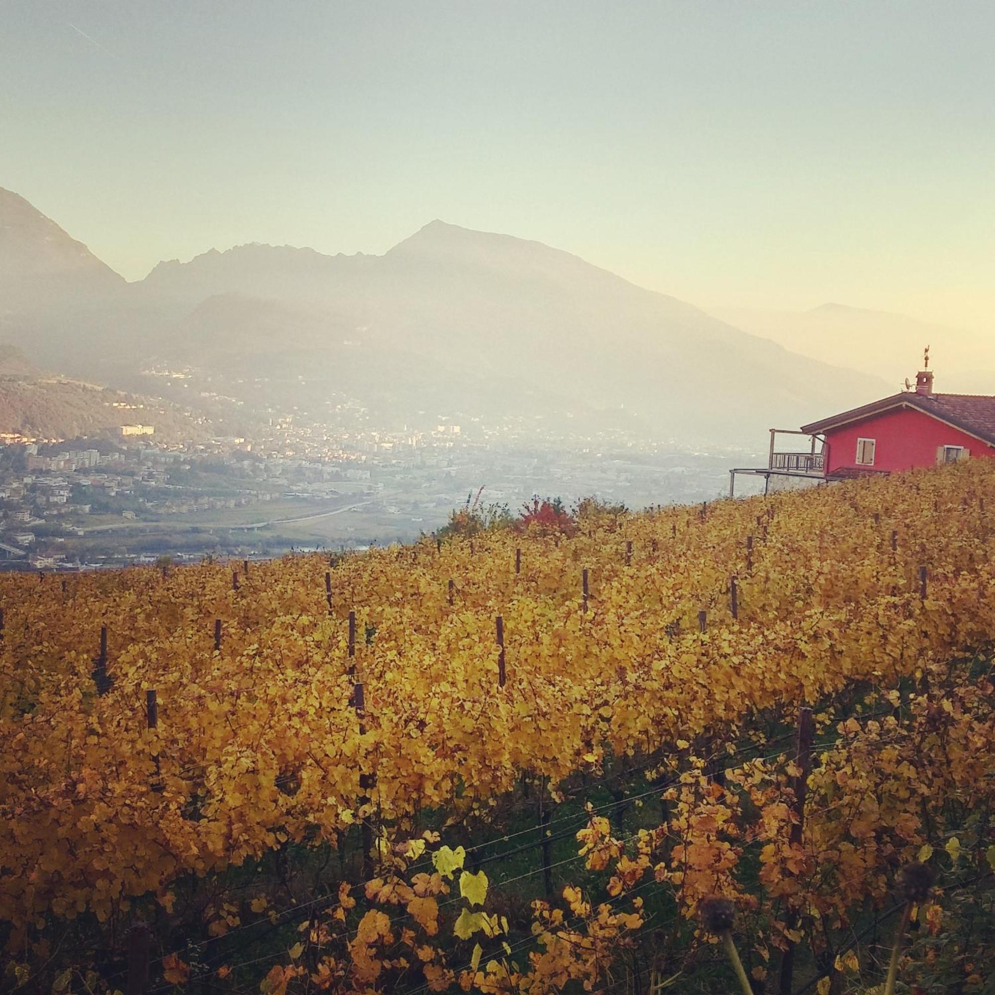 Agritur Maso Spezial Villa Villa Lagarina Exteriör bild