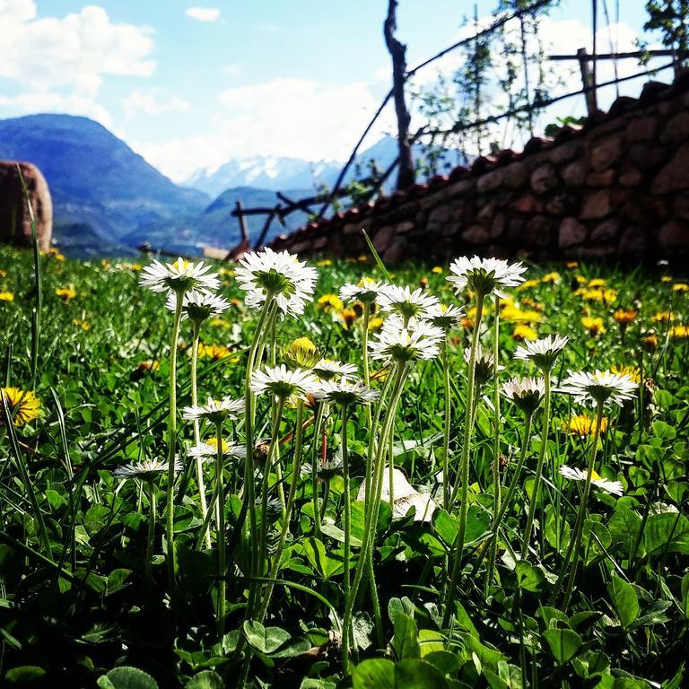 Agritur Maso Spezial Villa Villa Lagarina Exteriör bild