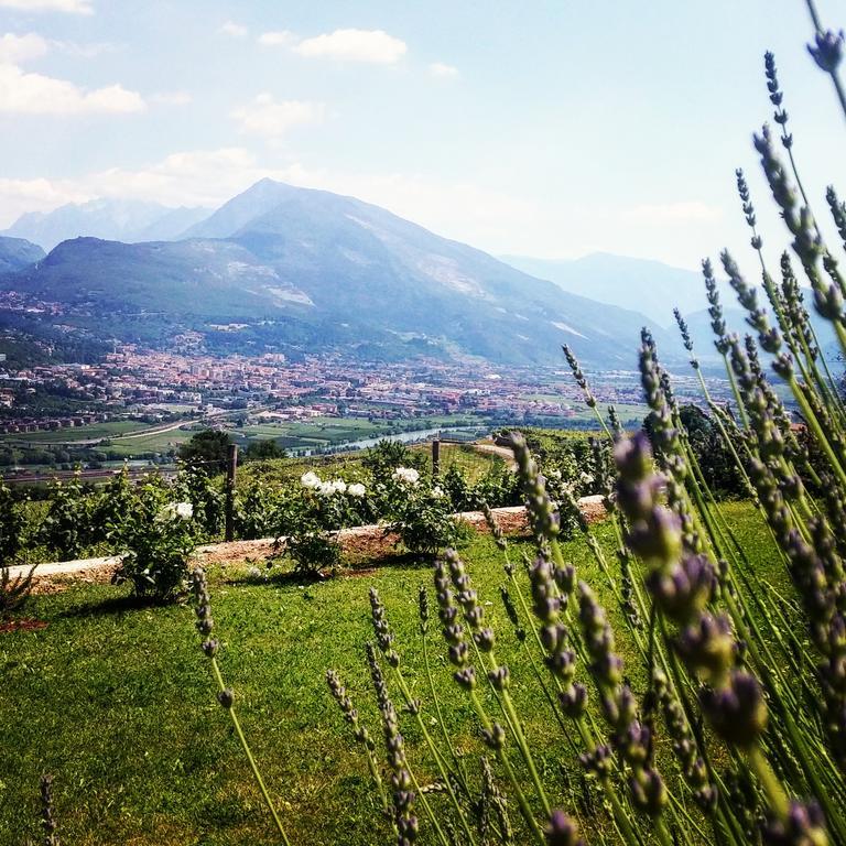 Agritur Maso Spezial Villa Villa Lagarina Exteriör bild